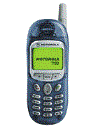 Best available price of Motorola T190 in M5