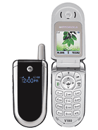 Best available price of Motorola V186 in M5